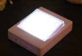 10050 LED Night Light AAA Battery-powered Switch